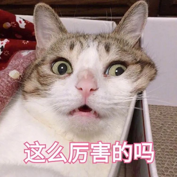 DƬ